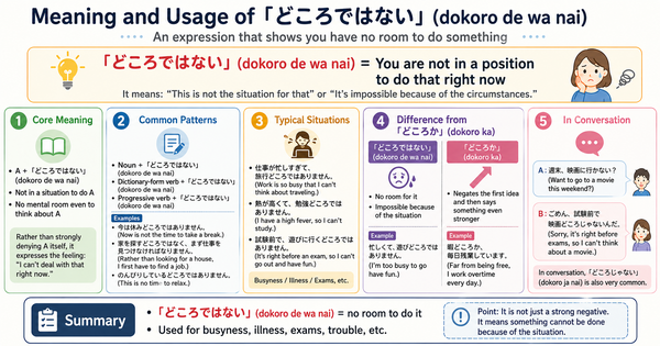 How to Use 「どころではない」 in Japanese