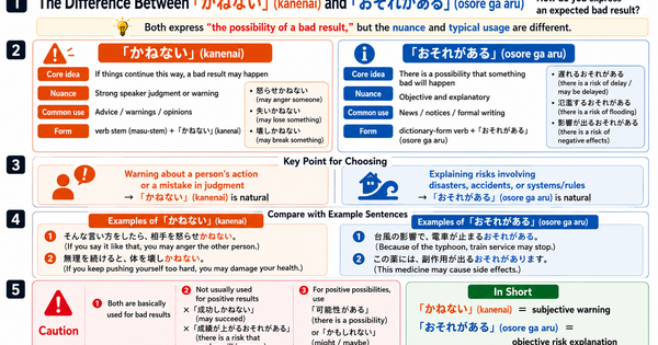 What Is the Difference Between 「かねない」 and 「おそれがある」? How to Express the Possibility of a Bad Result