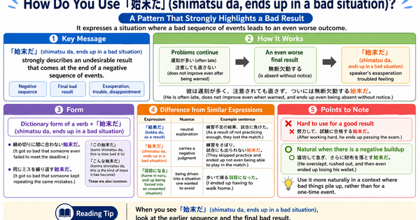 How Do You Use 「始末だ」? Understanding a Grammar Pattern That Strongly Emphasizes a Bad Result