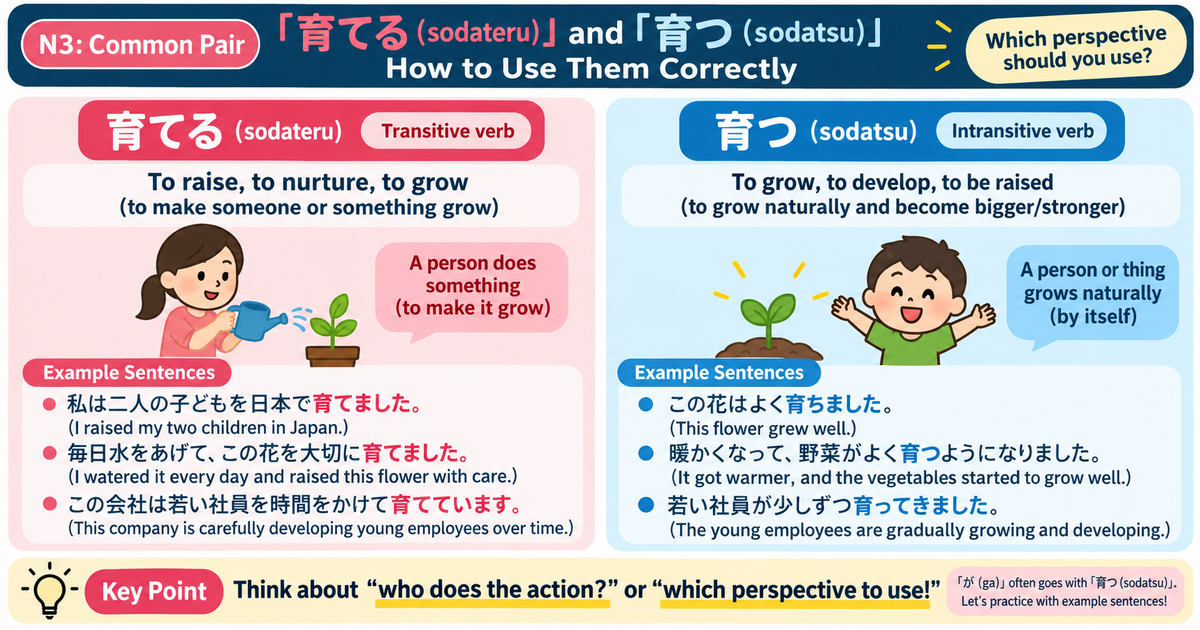 育てる vs 育つ: How to Use These Common JLPT N3 Verbs Correctly